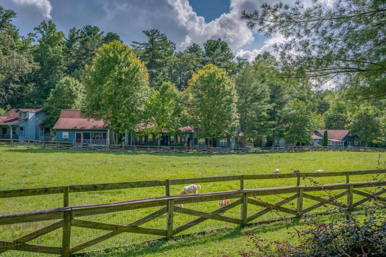 Buttercup Cottage แอชวิลล์ ภายนอก รูปภาพ
