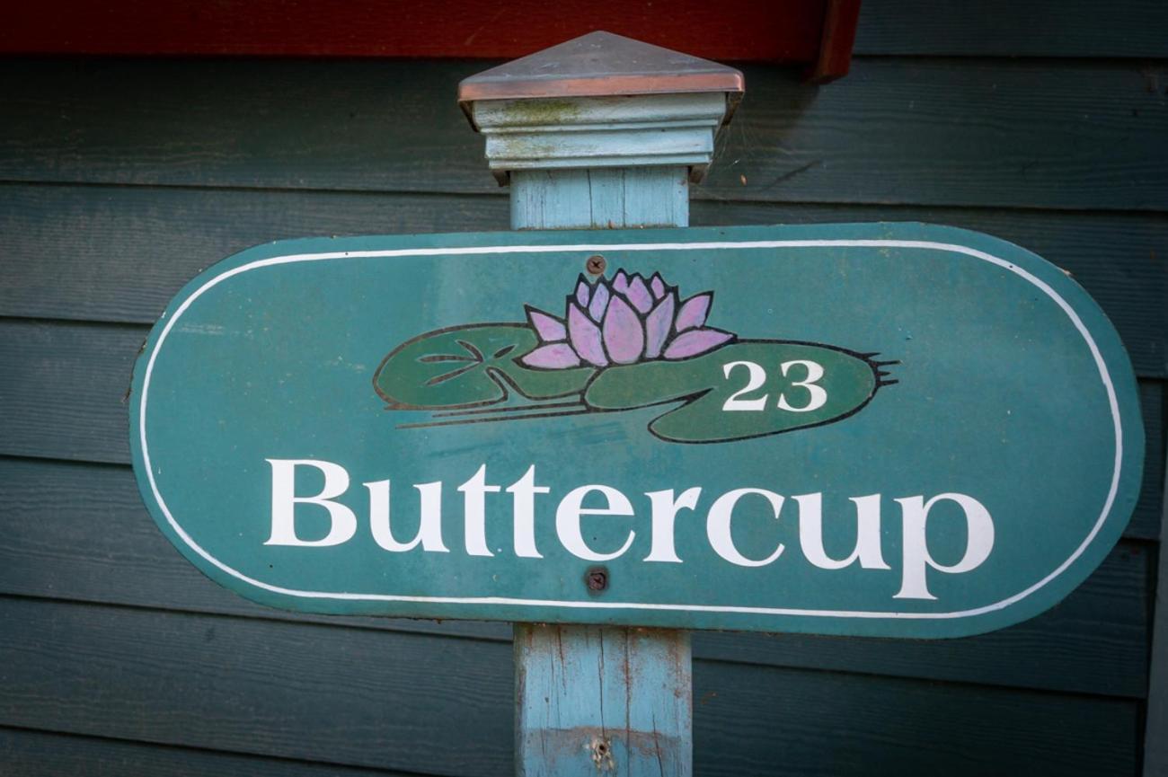 Buttercup Cottage แอชวิลล์ ภายนอก รูปภาพ